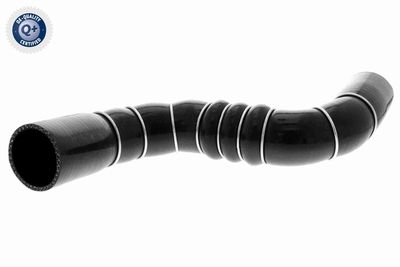 FURTUN EAR SUPRAALIMENTARE