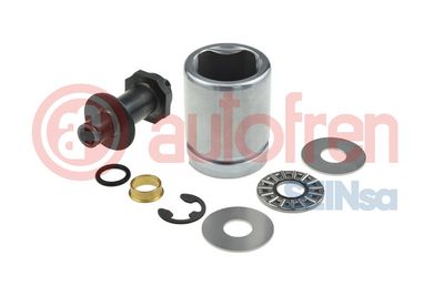 Píst, brzdový třmen AUTOFREN SEINSA D025608K1