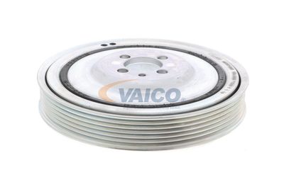 SET FULIE ARBORE COTIT VAICO V240865 13