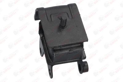 SUPORT MOTOR BIRTH 50438 4