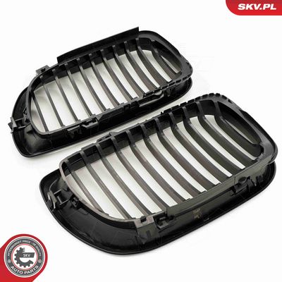 GRILA RADIATOR ESEN SKV 66SKV077 4