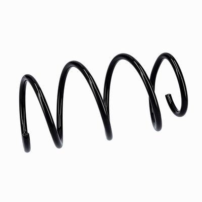 ARC SPIRAL EIBACH R10546 18