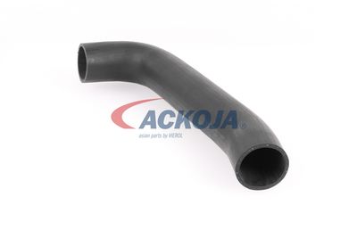 FURTUN EAR SUPRAALIMENTARE ACKOJA A379602 20