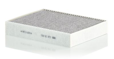 Filter, Innenraumluft
