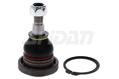 ARTICULATIE SARCINA/GHIDARE