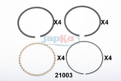 SEGMENT PISTON