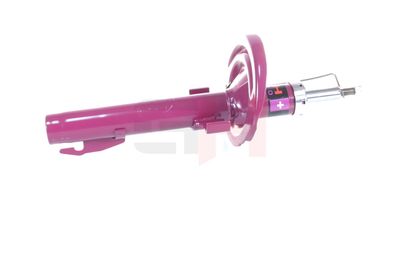 AMORTIZOR GH GH353955 33