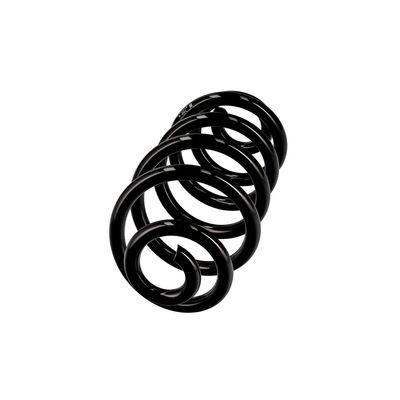 ARC SPIRAL EIBACH R10114 14