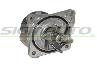 POMPă DE APă RăCIRE MOTOR