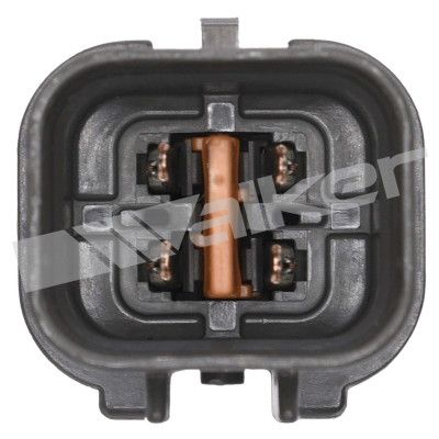 LAMBDASONDE WALKER PRODUCTS 25024990 2