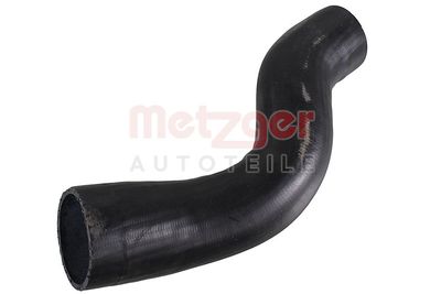 FURTUN EAR SUPRAALIMENTARE