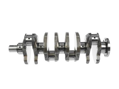 ARBORE COTIT ET ENGINETEAM HK0165 18