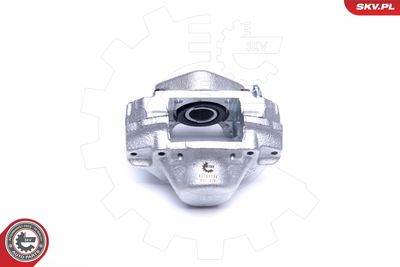 Brake Caliper 42SKV734