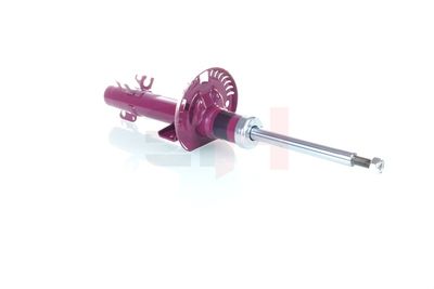 AMORTIZOR GH GH359914 25