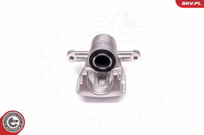 Brake Caliper 23SKV773