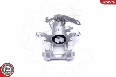 Brake Caliper 50SKV033