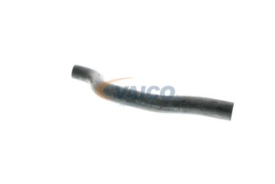 KüHLERSCHLAUCH VAICO V100388 40