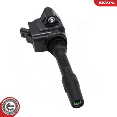 Sytytyspuola ESEN SKV 03SKV277