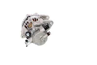 GENERATOR / ALTERNATOR REMANTE 011003000652R 29