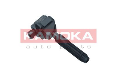 Ignition Coil 7120130