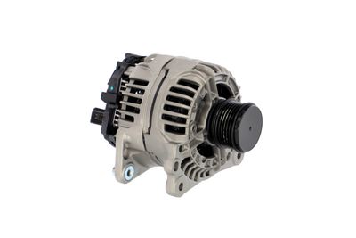 GENERATOR / ALTERNATOR REMANTE 011003000481R 49