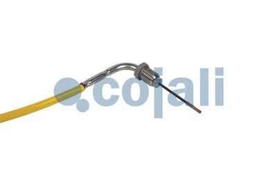 Vorschau Sensor, Abgastemperatur Ansicht 2