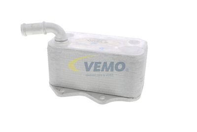 RADIATOR ULEI ULEI MOTOR VEMO V15606018 15
