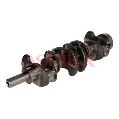 ARBORE COTIT ASHIKA 18KI003 3