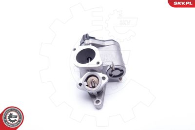 EGR Valve 14SKV165