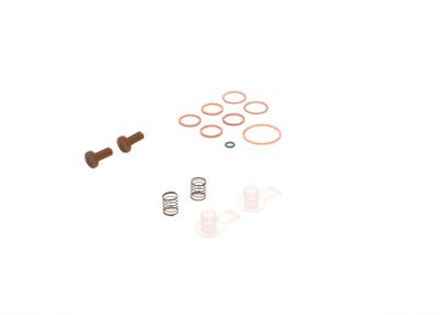 SET REPARATIE POMPA COMBUSTIBIL BOSCH 2447010004 25