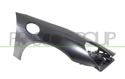 PRASCO PR5043003 Подкрылок для PORSCHE CAYMAN (981) 3.8 GT4