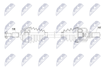 NPW-PE-134