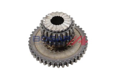 ROATA DINTATA ARBORE COTIT