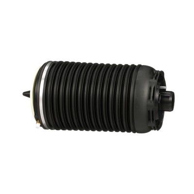 LUFTFEDER FAHRWERK Arnott A3295 17