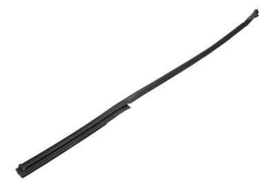 Afdichting voorruit Voor Links past: TOYOTA RAV 4 II 05.00-11.05