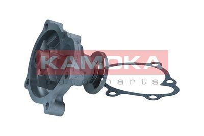 Water Pump, engine cooling T0230