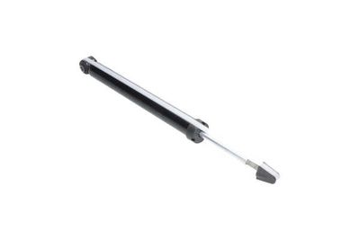 AMORTIZOR Kavo Parts SSA10617 13