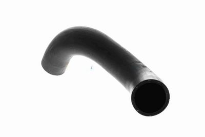 FURTUN EAR SUPRAALIMENTARE ACKOJA A389606 2