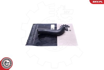 FURTUN EAR SUPRAALIMENTARE