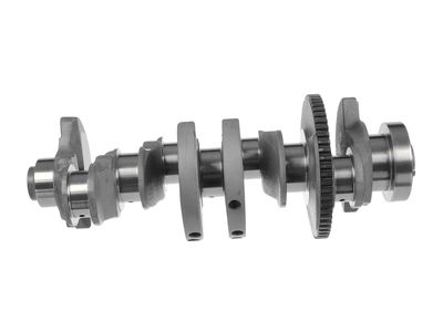 ARBORE COTIT ET ENGINETEAM HK0216 6