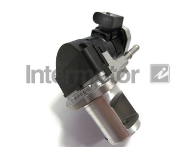 EGR Valve Intermotor 18020