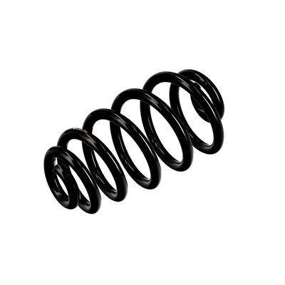 ARC SPIRAL EIBACH R10574 4