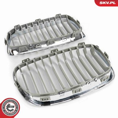 GRILA RADIATOR ESEN SKV 66SKV015 5