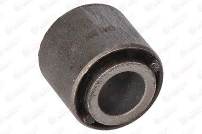 BUCSA ARBORE DE DIRECTIE BIRTH 4741 9