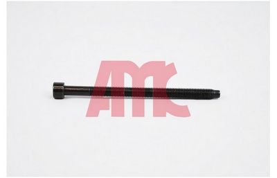 ZYLINDERKOPFSCHRAUBENSATZ AMC 258709 2