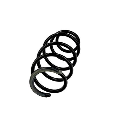 ARC SPIRAL EIBACH R10096 2