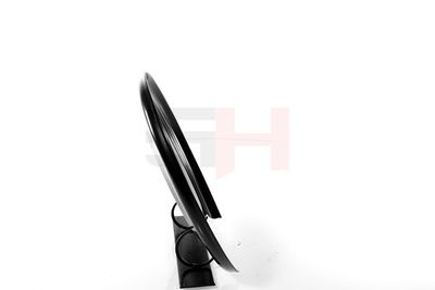 PROTECTIE STROPIRE DISC FRANA GH GH484803 19