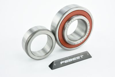 RULMENT AX CARDANIC FEBEST AS30621624KIT 48