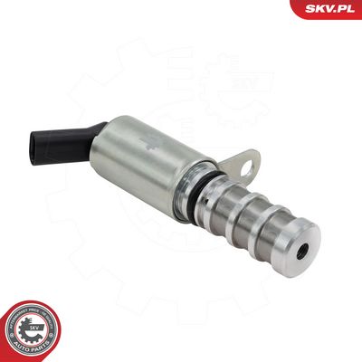 Řídicí ventil, seřízení vačkového hřídele ESEN SKV 39SKV079