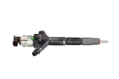 INJECTOR REMANTE 002003002080R 41
